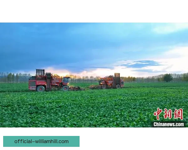 奇亚亚蒙SC2-2马卡比迪克瓦科技创新助力未来智能城市发展